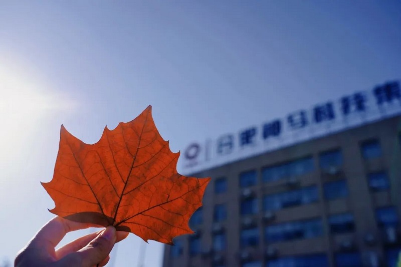 ����BB(�й�)�ɷ����޹�˾_����