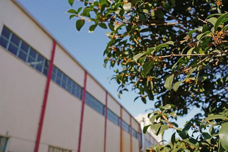 ����BB(�й�)�ɷ����޹�˾_����