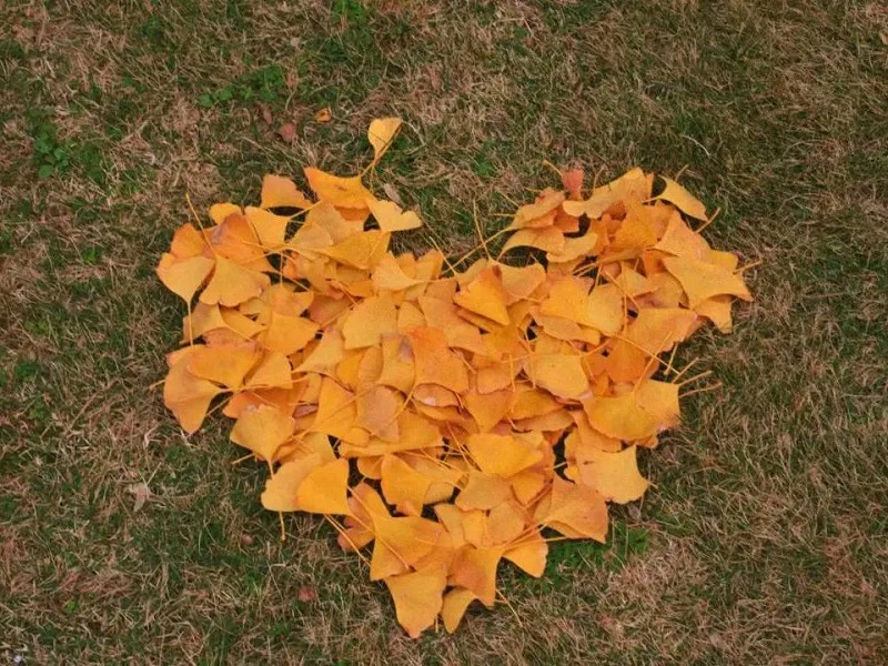 ����BB(�й�)�ɷ����޹�˾_����