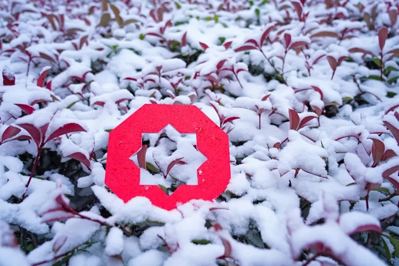 ����BB(�й�)�ɷ����޹�˾_����