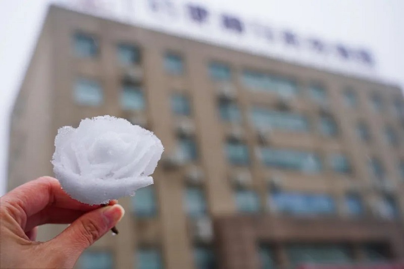 ����BB(�й�)�ɷ����޹�˾_����