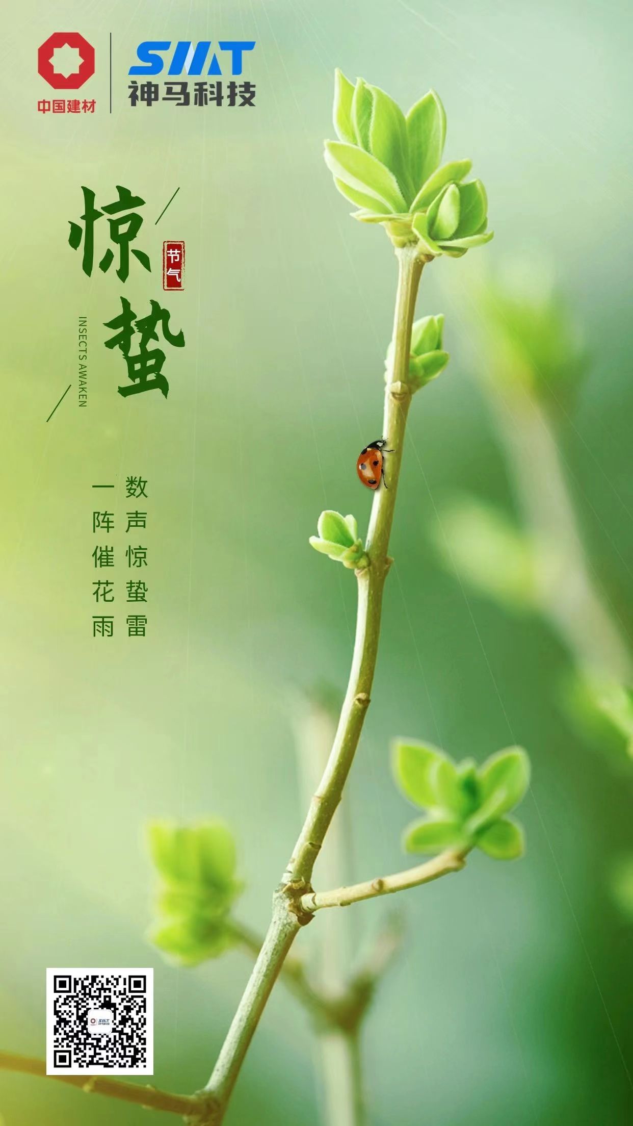 ����BB(�й�)�ɷ����޹�˾_����