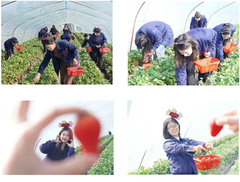 ����BB(�й�)�ɷ����޹�˾_����