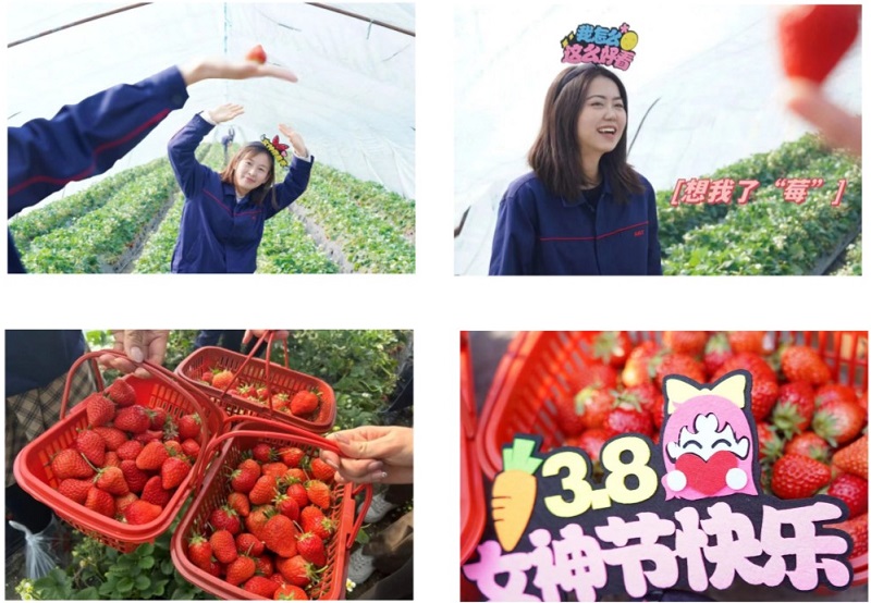 ����BB(�й�)�ɷ����޹�˾_����