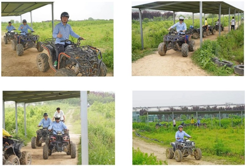 ����BB(�й�)�ɷ����޹�˾_����