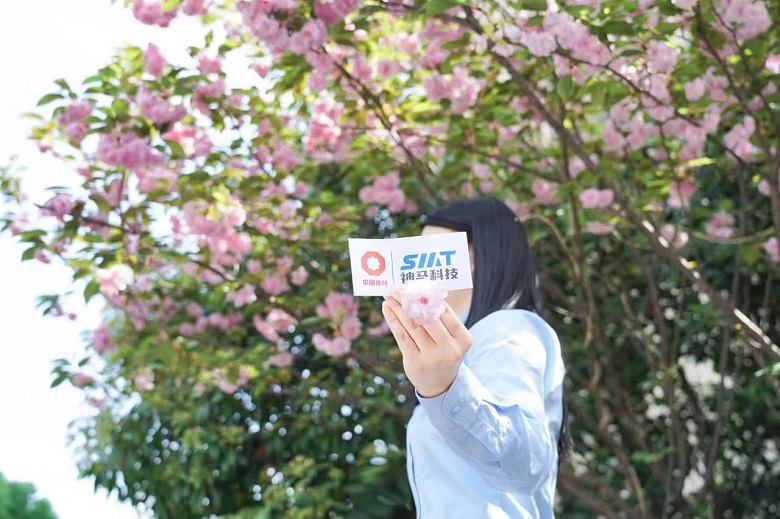 ����BB(�й�)�ɷ����޹�˾_����