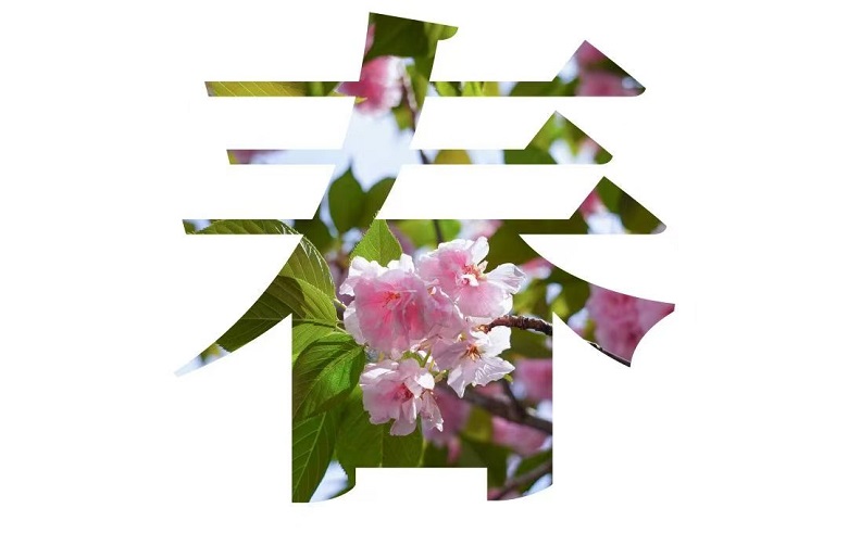 ����BB(�й�)�ɷ����޹�˾_����