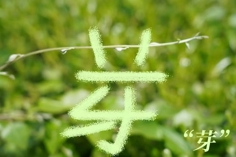 ����BB(�й�)�ɷ����޹�˾_����