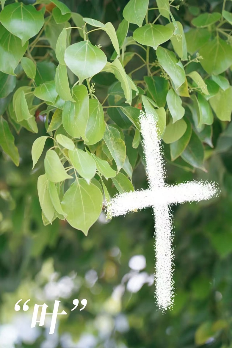 ����BB(�й�)�ɷ����޹�˾_����